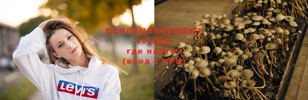 MDMA Premium VHQ Верхнеуральск