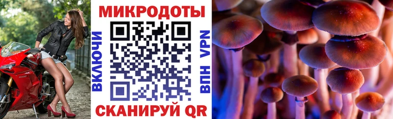 hydra ONION  Саров  Галлюциногенные грибы мухоморы  где купить наркоту 